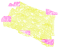 A slice of salami